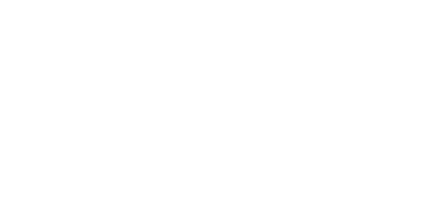ChessParty 2027 logo